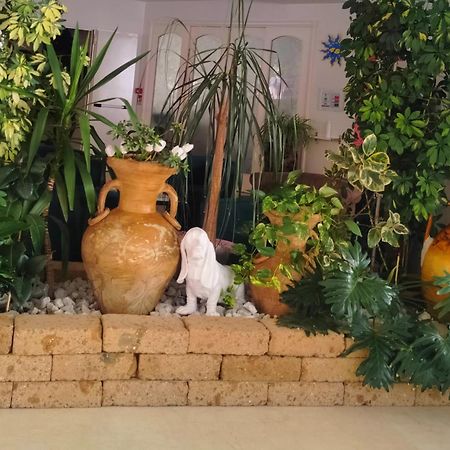 Hotel De Amicis Riccione Eksteriør bilde
